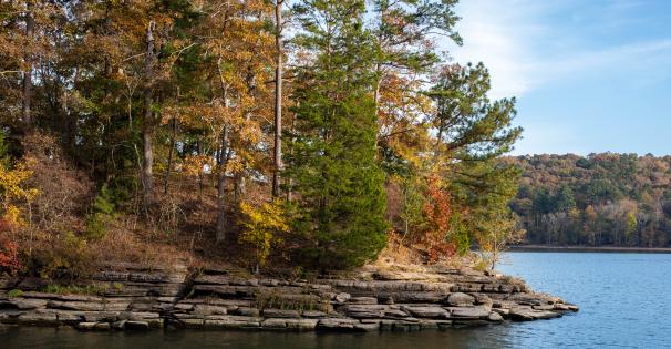 JP coleman state park