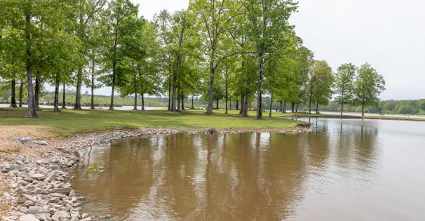 Neshoba county Lake