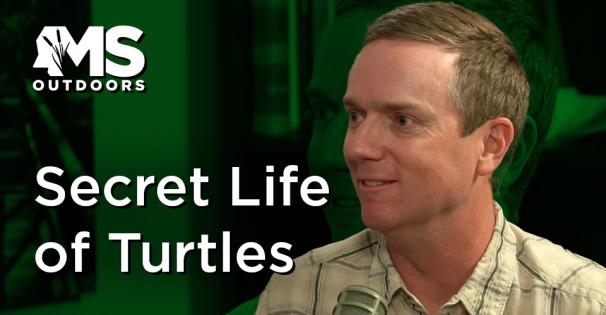 Secret Life of Turtles