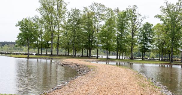 Neshoba County Lake