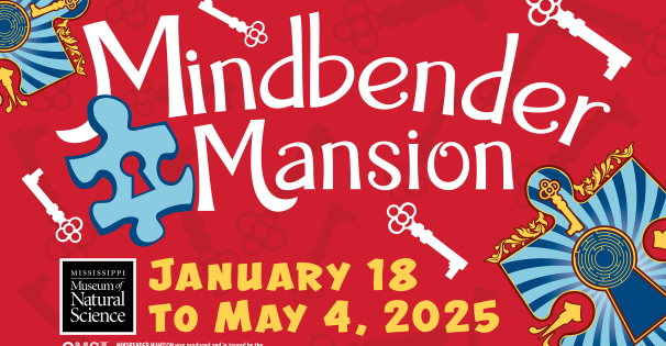 Mindbender mansion