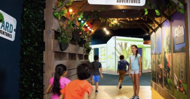 Backyard Adventures exhibit at the Mississippi Museum of Natural Science