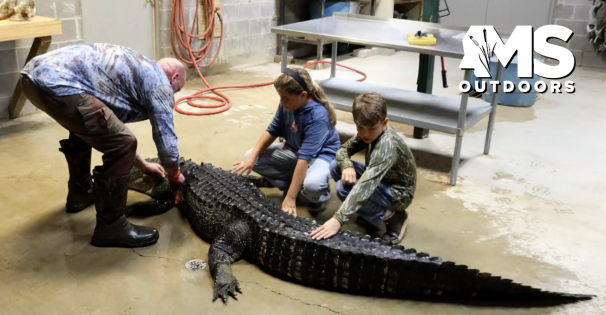 Alligator Mississippi Outdoors