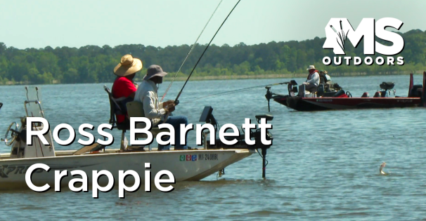 Ross Barnett Crappie