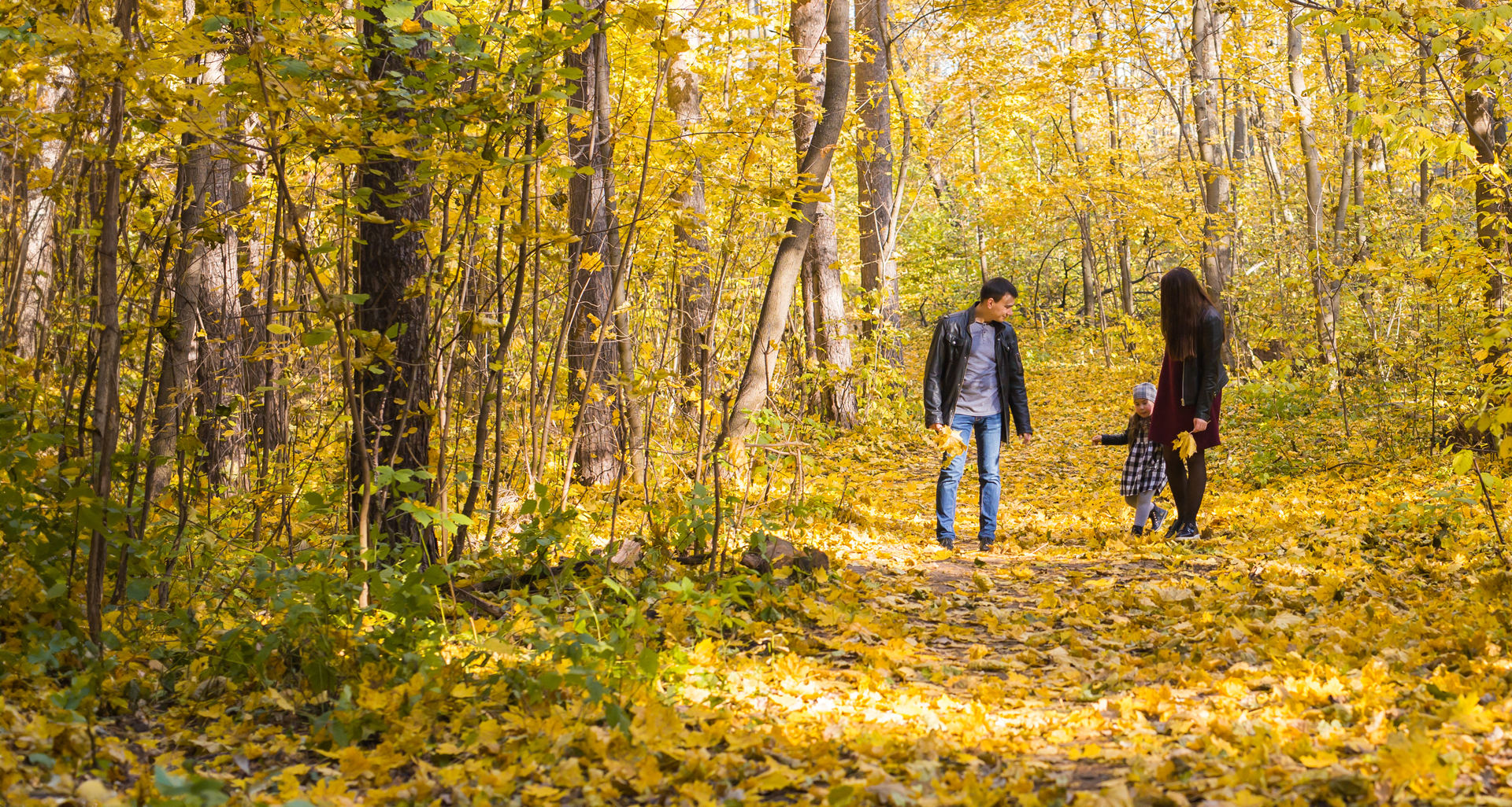 Mississippi State Parks - Fall