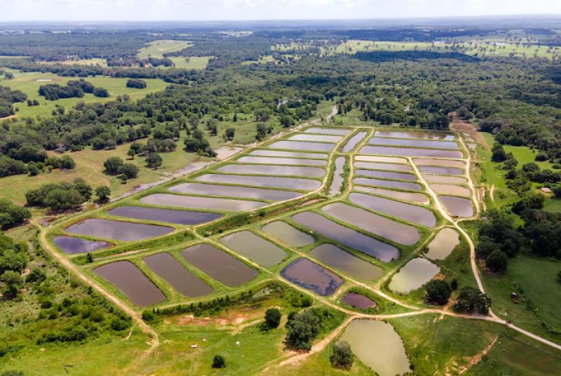 Bob Tyler Fish Hatchery