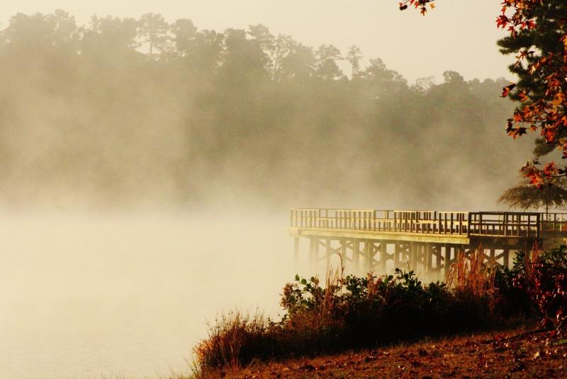 Fog on Lake Lowndes