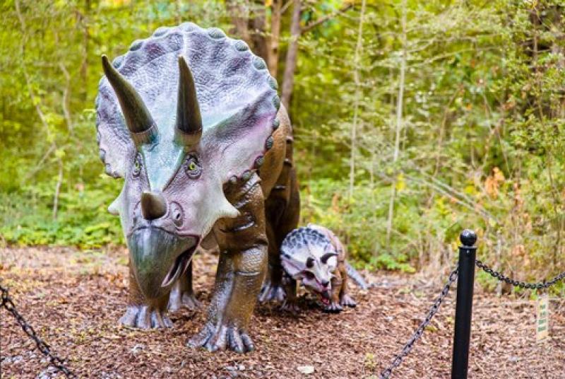 Triceratops statue with child