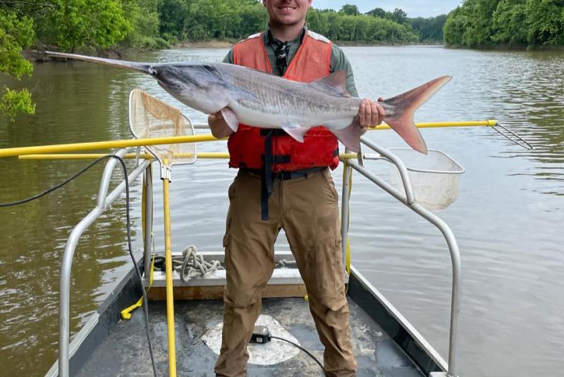 Paddlefish caught on the Pearl River above Jackson, MS