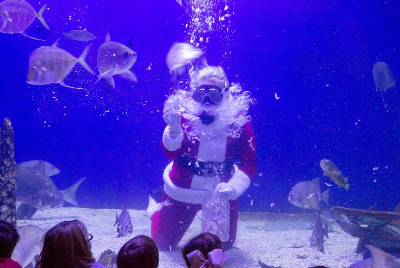 Santa SCUBA dives to feed the fish at the Mississippi museum of natural science