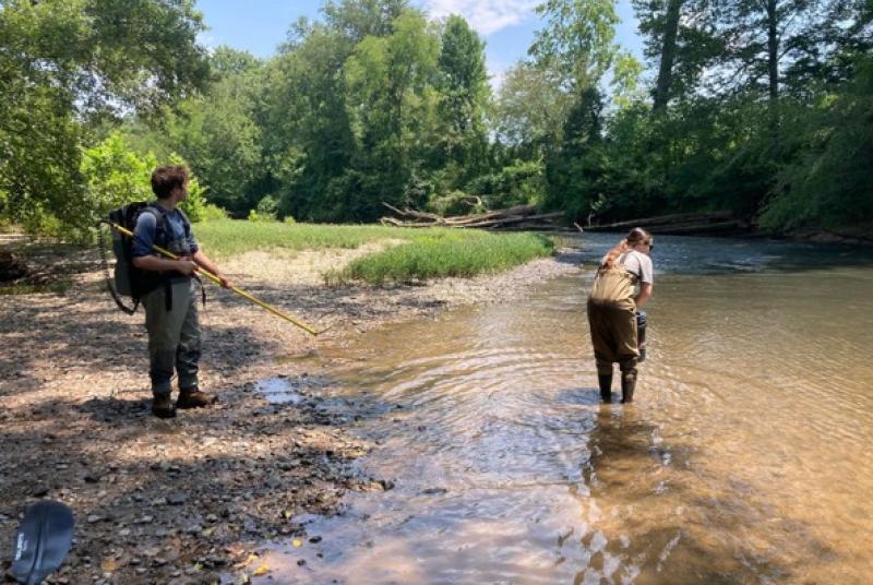 Bear Creek, Tishomingo