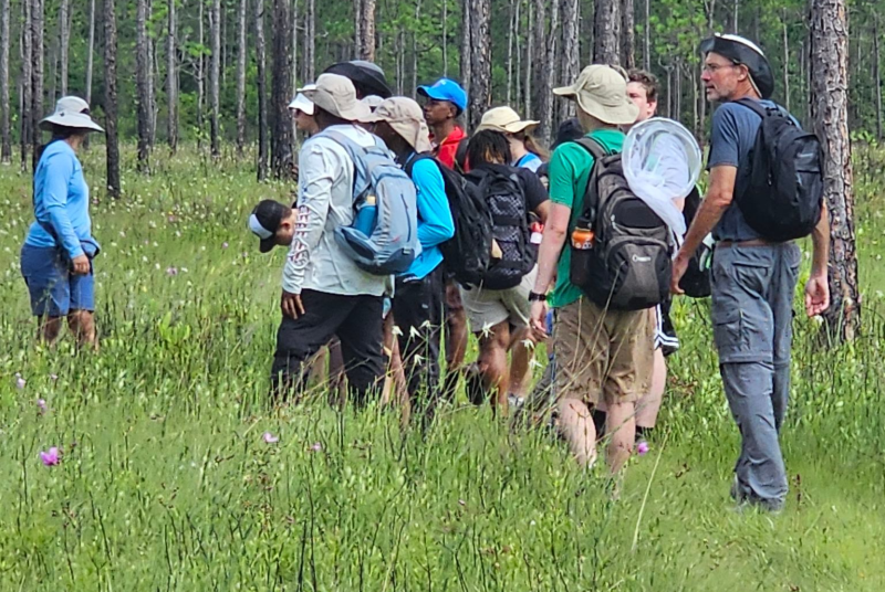 mmns summer campers in the field